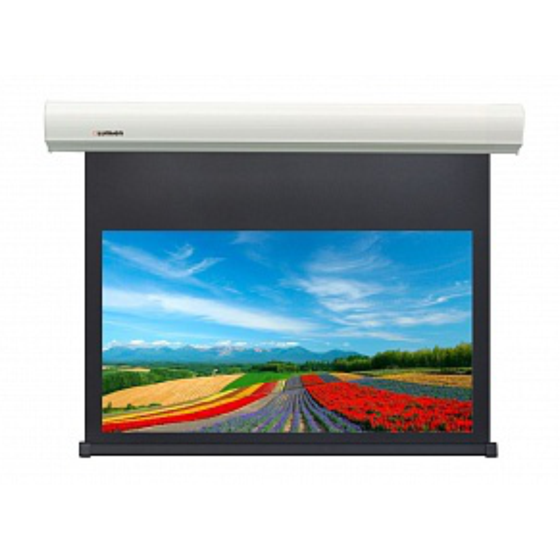 Экран моторизированный Lumien LCC-100116