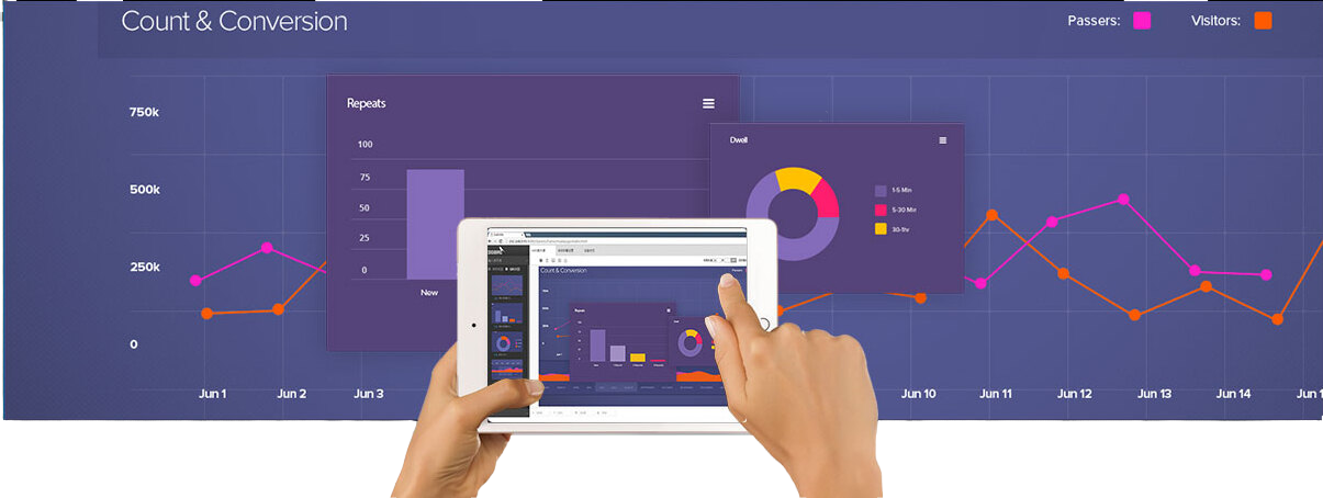 DigiBird Контроллер DB-VWC2-B-4H12H-PV