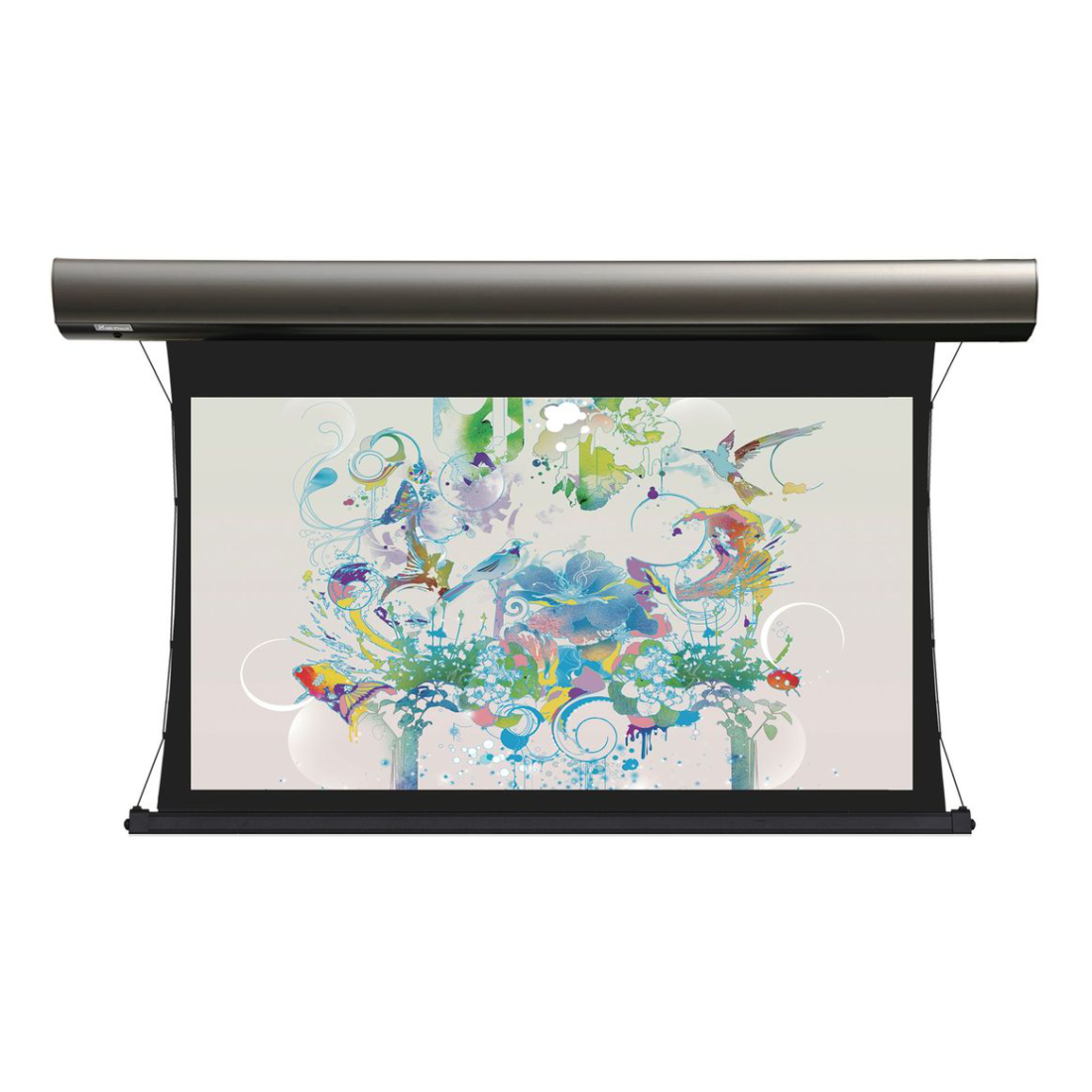 Экран моторизированный Lumien LCTC-100106